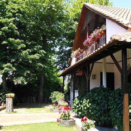 Villa Afroditi Vrasná エクステリア 写真