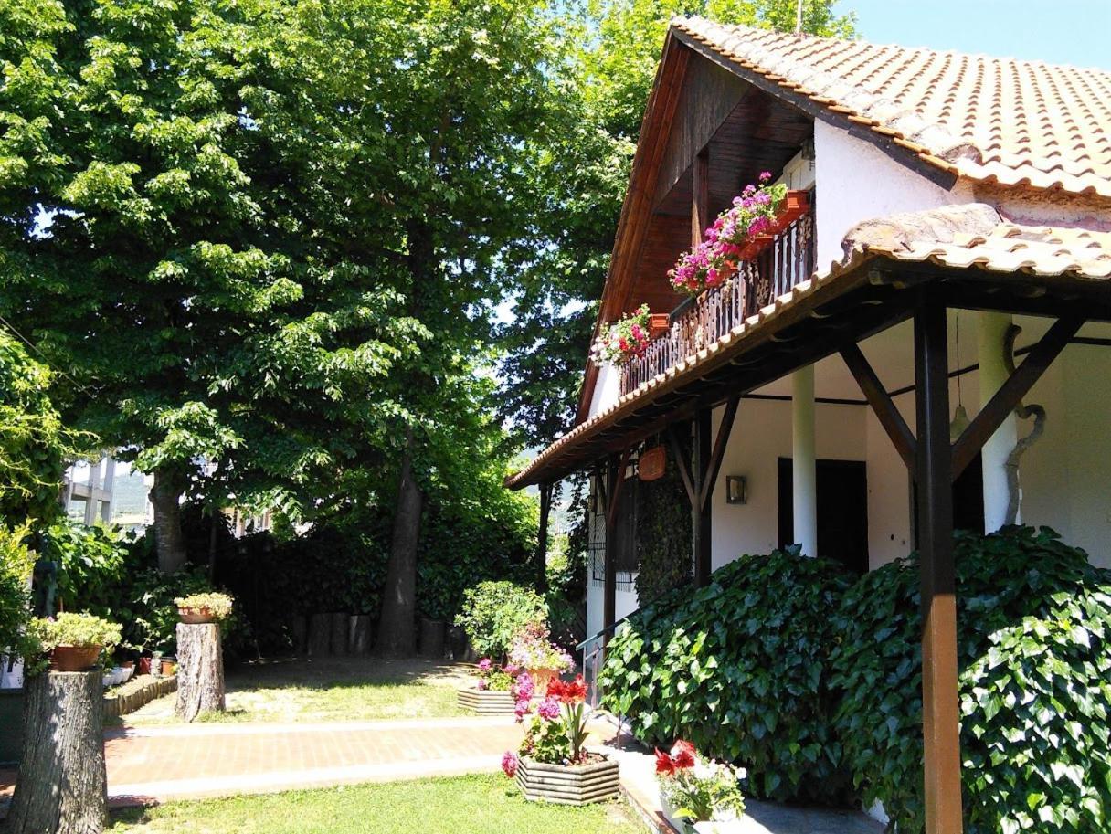 Villa Afroditi Vrasná エクステリア 写真